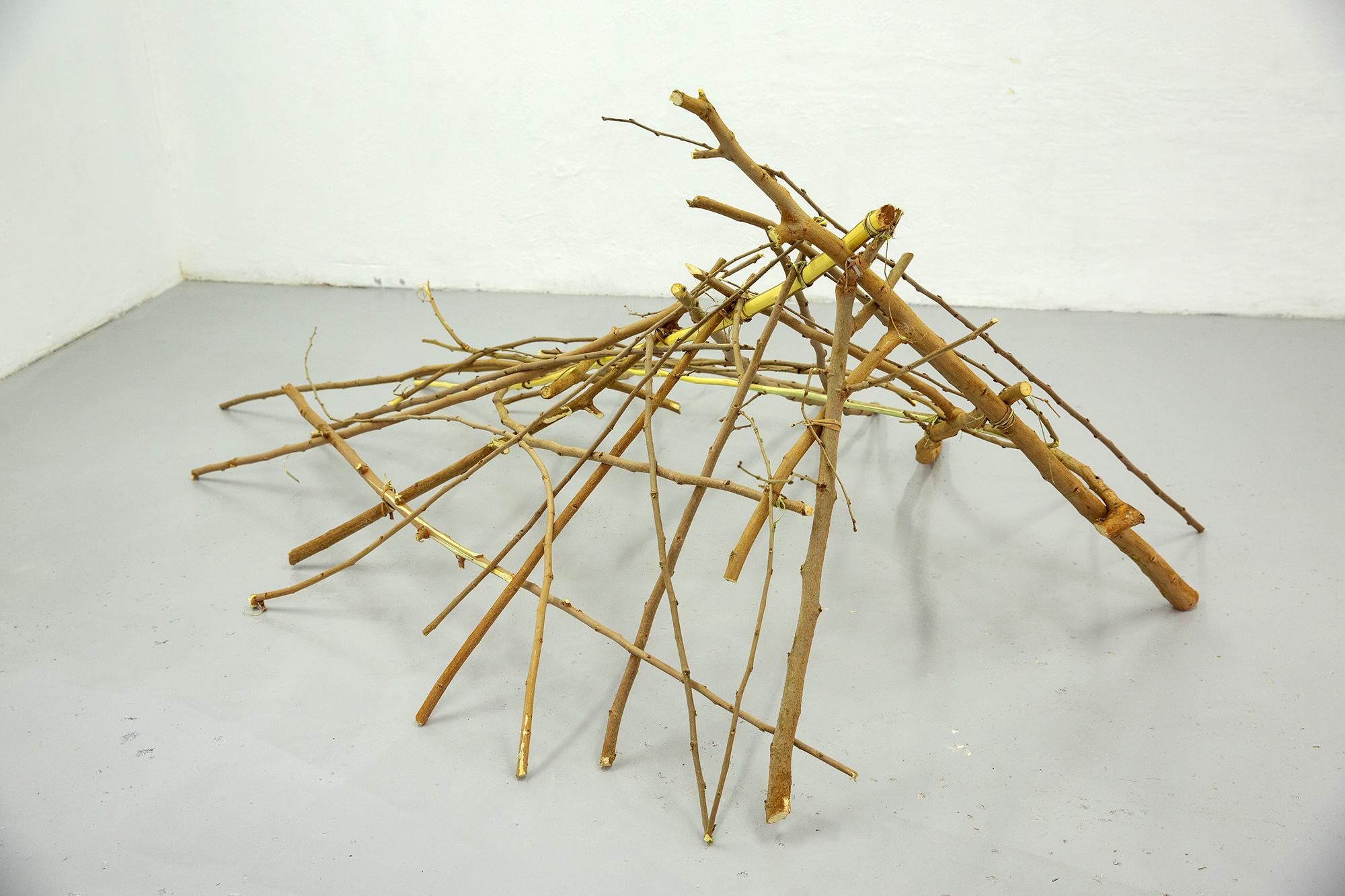 IN STANDING WATERS - Image 14