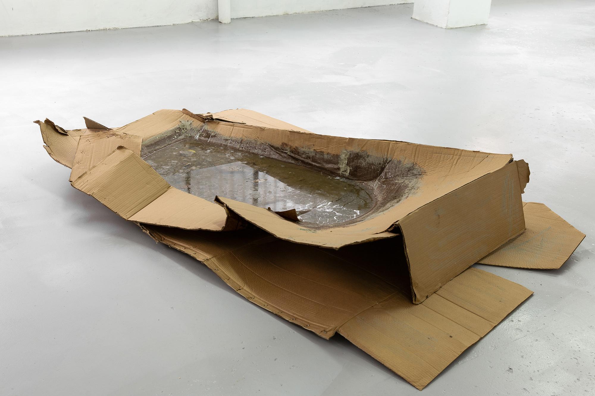 IN STANDING WATERS - Image 9