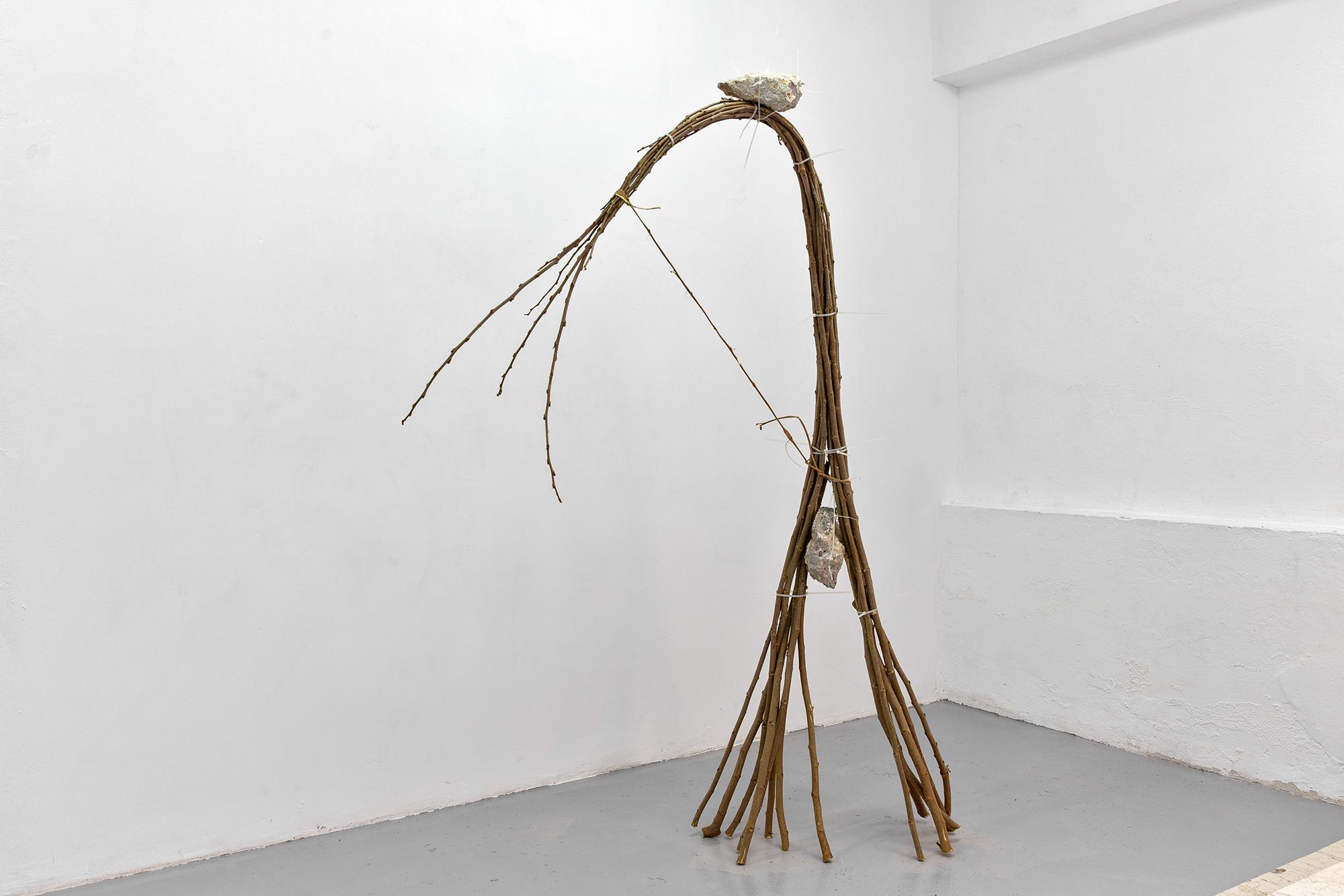 IN STANDING WATERS - Image 6