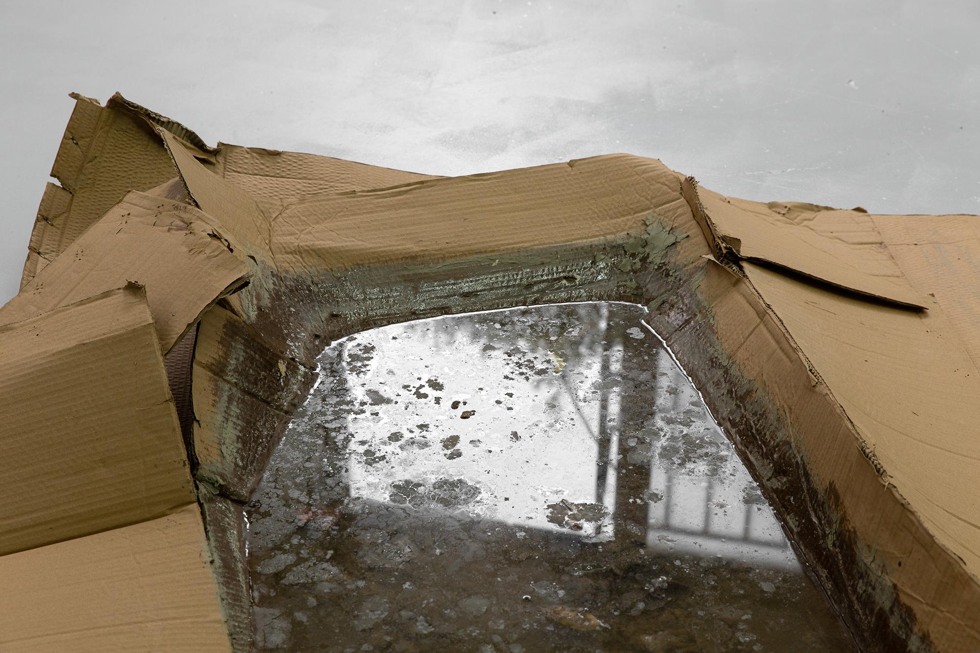 IN STANDING WATERS - Image 10