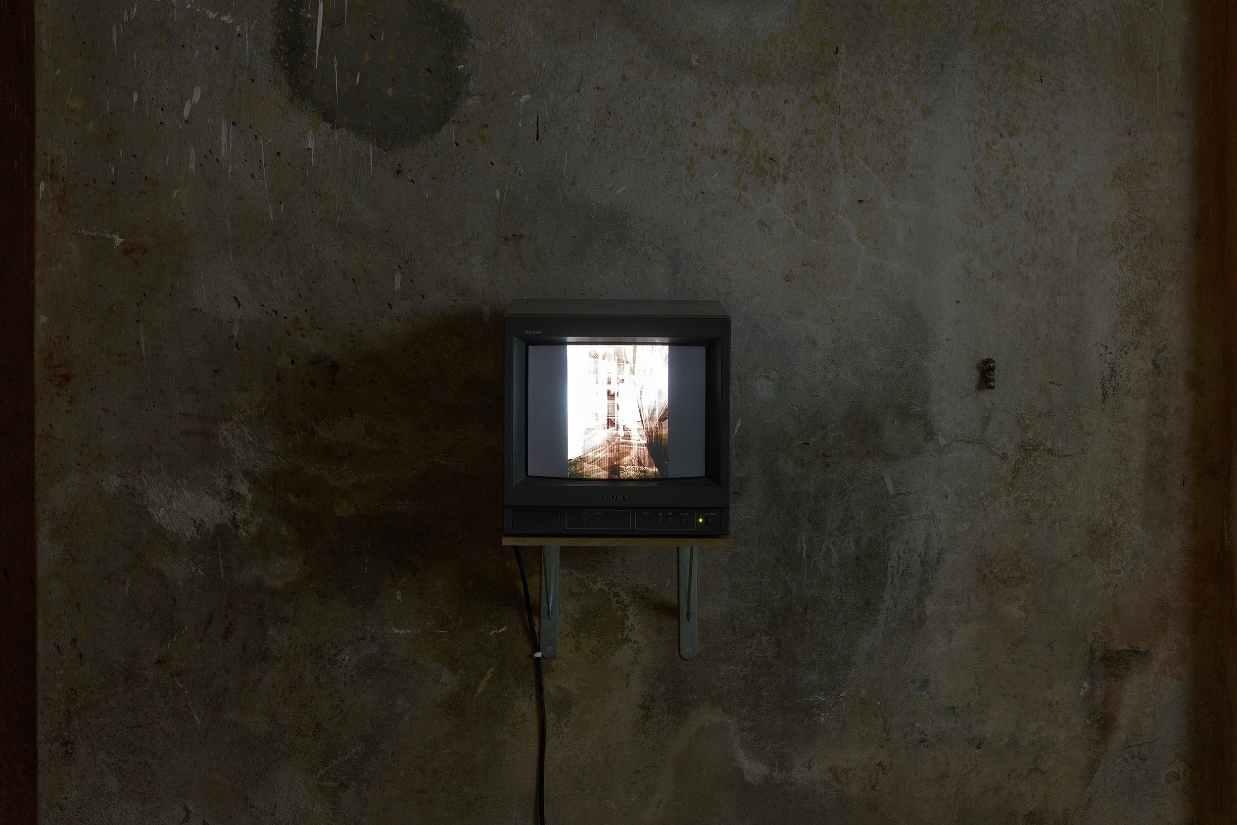 (RE)TURNING / A PRACTICE OF ATTENTION - Image 12